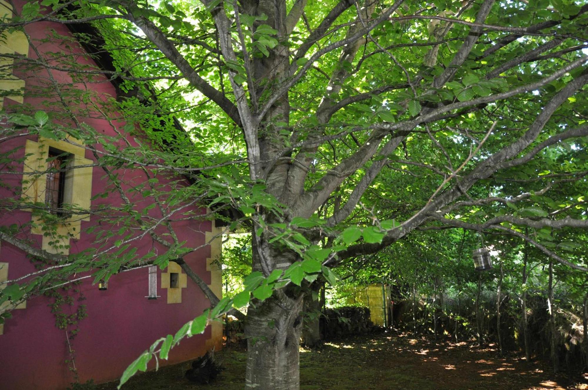 Apartamentos Arcadia Orena Εξωτερικό φωτογραφία
